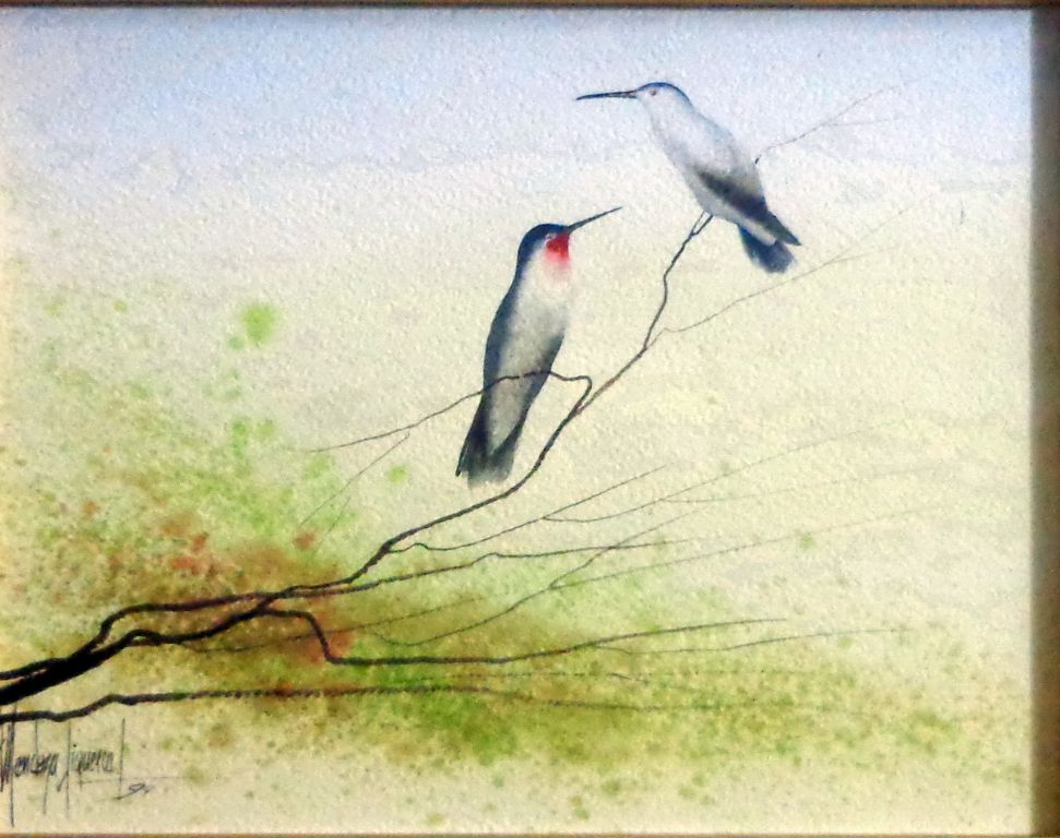 Los colibríes